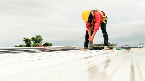 Best 4 Ply Roofing  in South San Francisco, CA