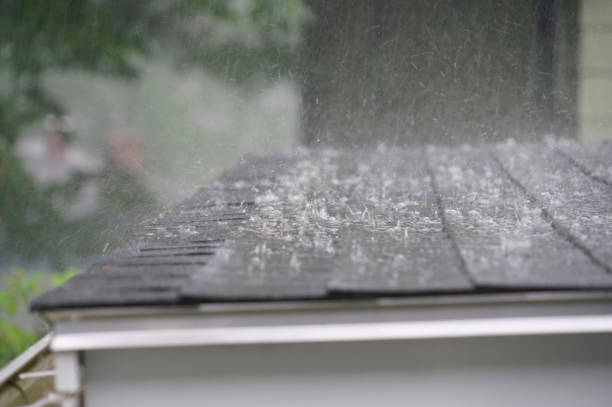 Best Gutter Installation and Repair  in South San Francisco, CA