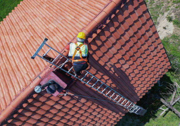 Best Asphalt Shingle Roofing  in South San Francisco, CA